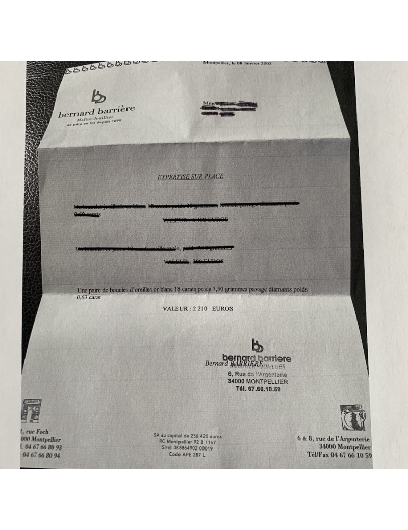 Stud Earrings in White Gold and Diamond Pave 