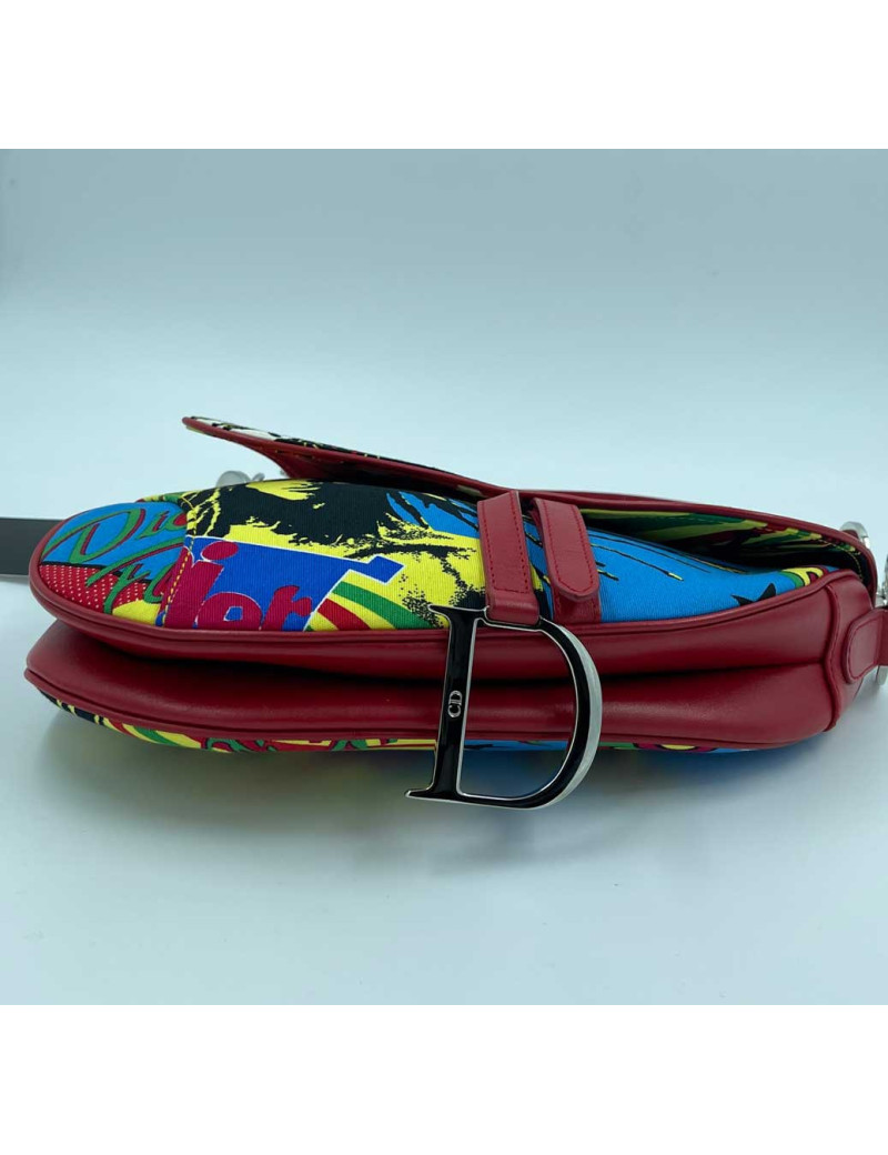 DIOR Saddle Bag Sound of Soul Model in Multicolor Canvas