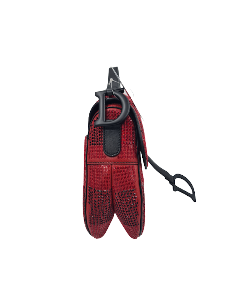  DIOR Saddle bag Limited edition red and black rhinestones