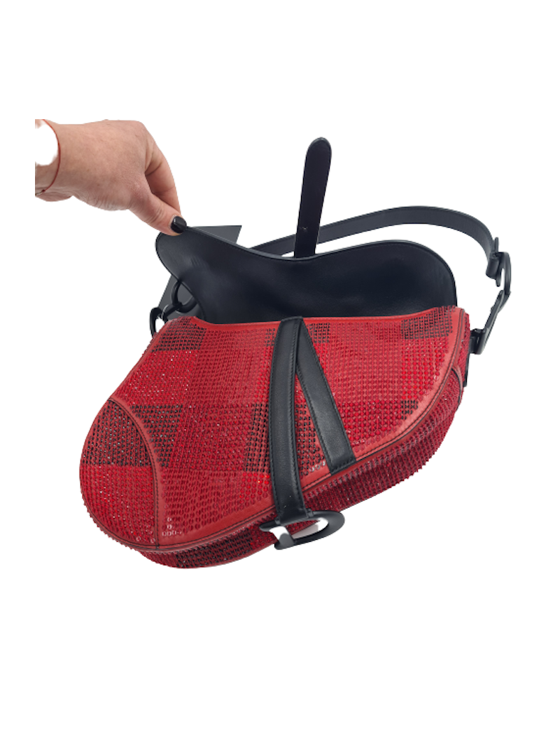  DIOR Saddle bag Limited edition red and black rhinestones