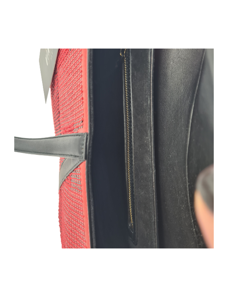  DIOR Saddle bag Limited edition red and black rhinestones