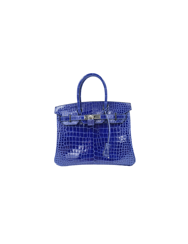 Birkin 30 crocodile porosus