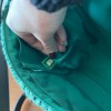 CHANEL 255 Flap Bag in Green Tweed