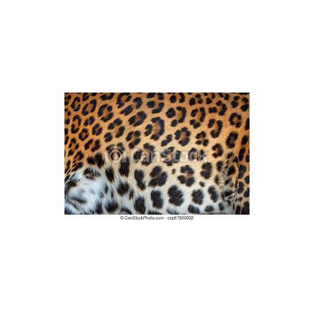 Manteau fourrure leopard