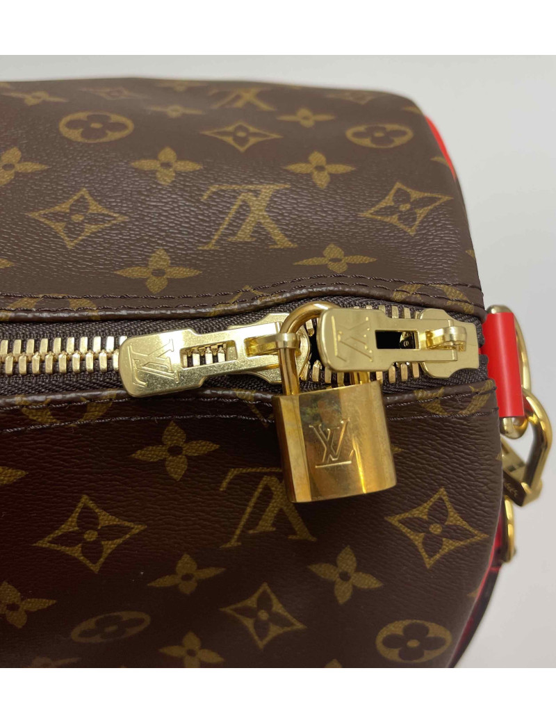 Keepall 50 LOUIS VUITTON Monogram 