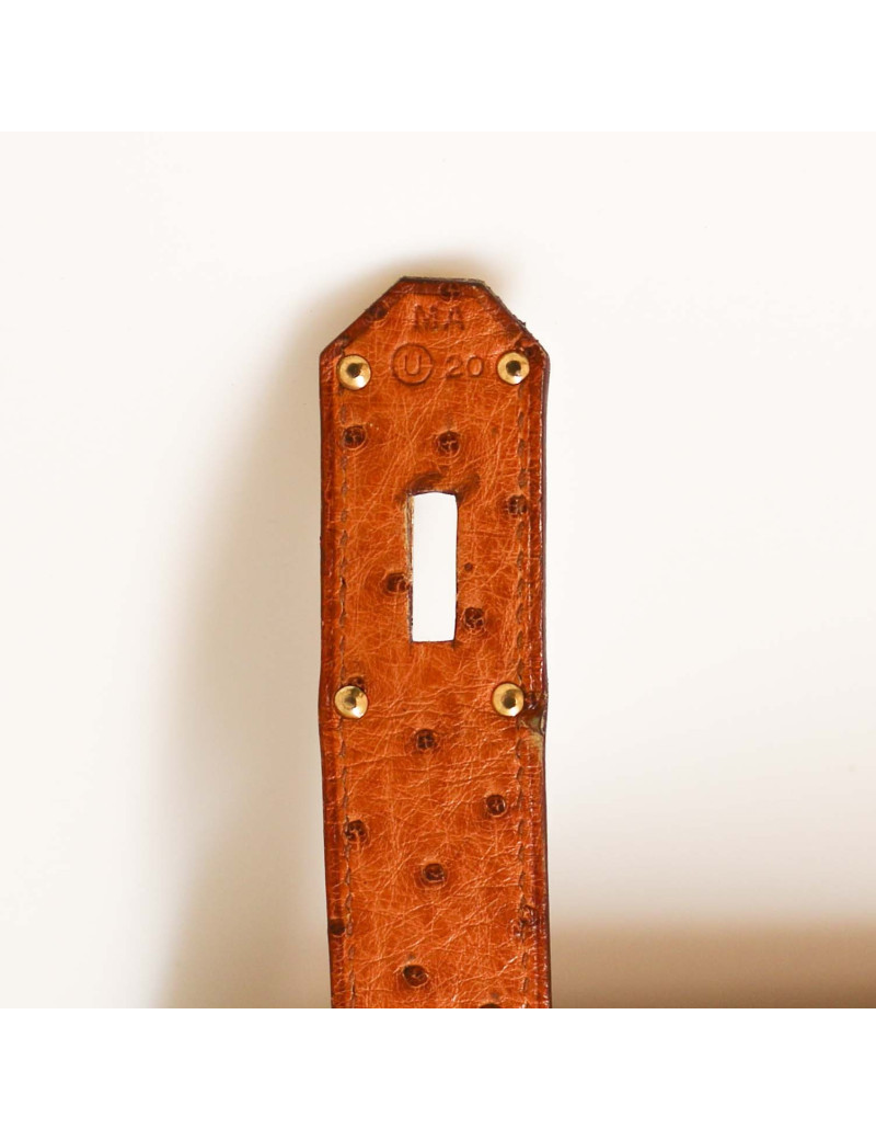 Sac HAC 50 Hermes autruche