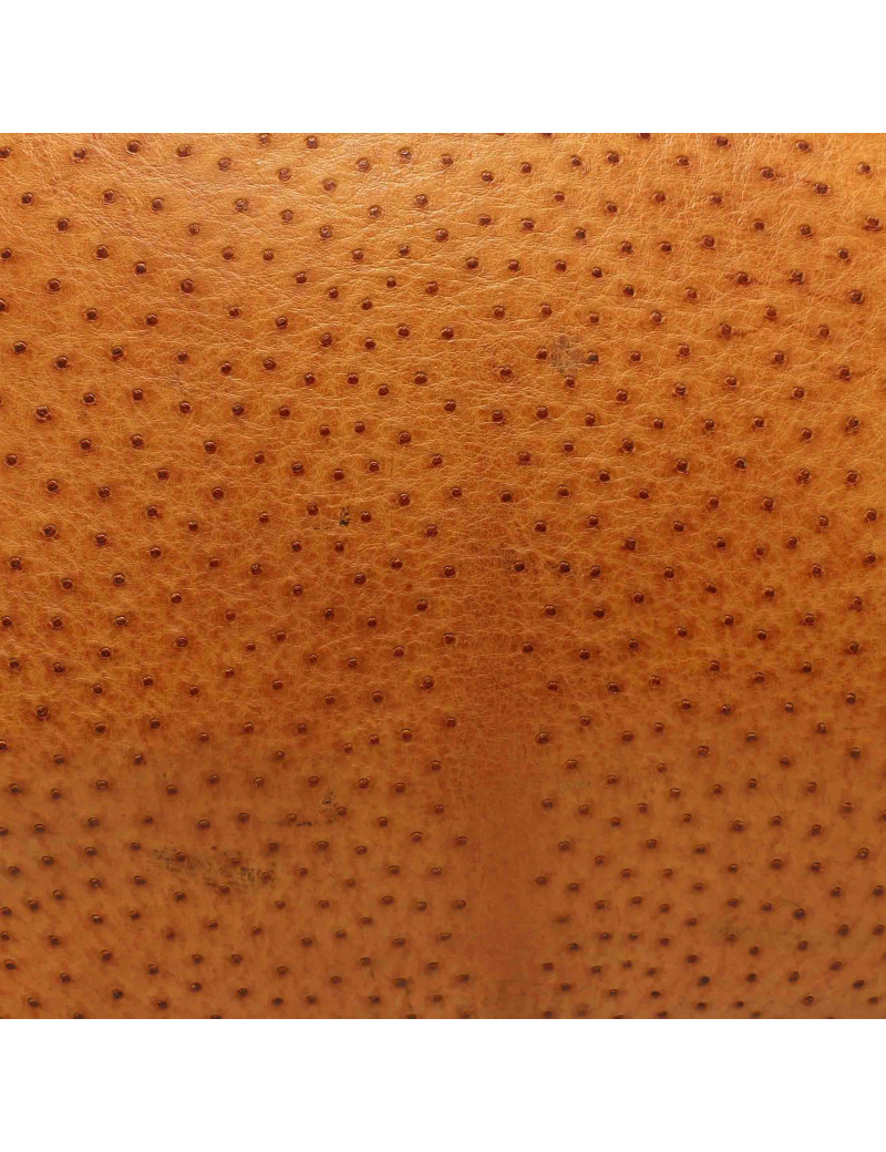 Sac HAC 50 Hermes autruche