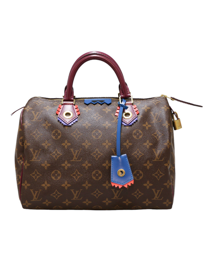 Speedy 30 LOUIS VUITTON Monogram Totem