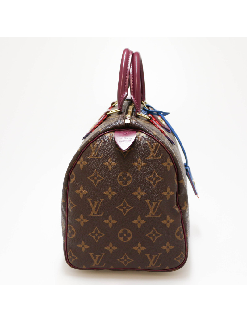 Speedy 30 LOUIS VUITTON Monogram Totem