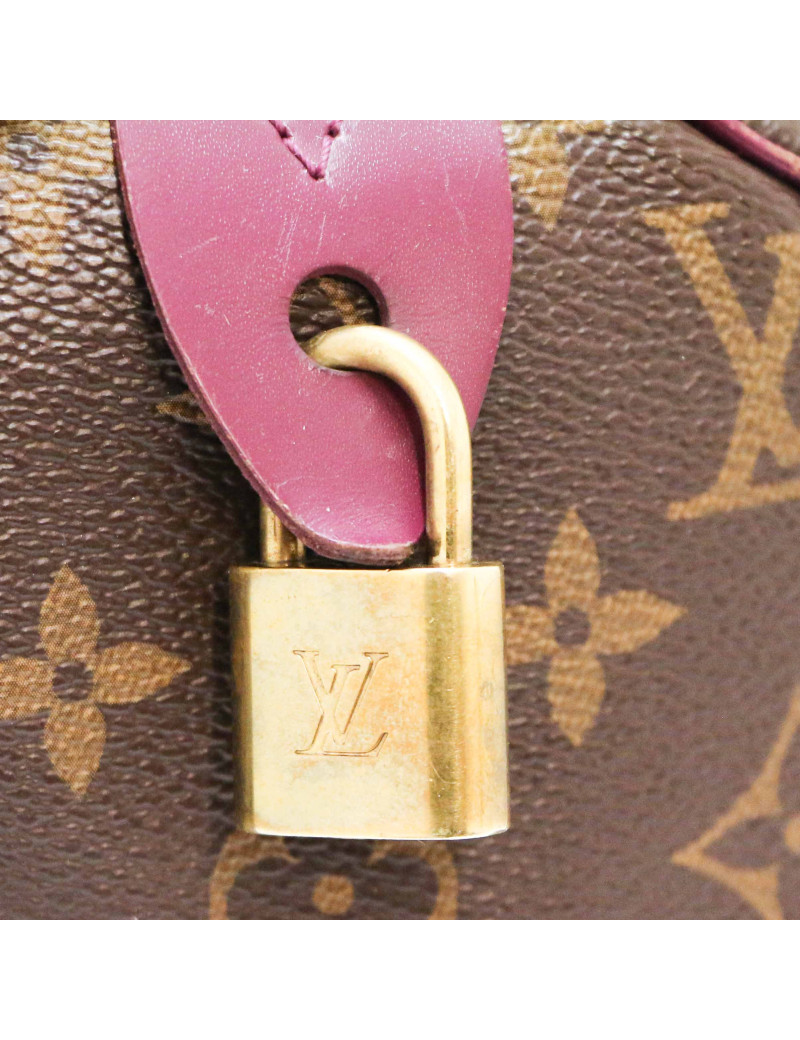 Speedy 30 LOUIS VUITTON Monogram Totem