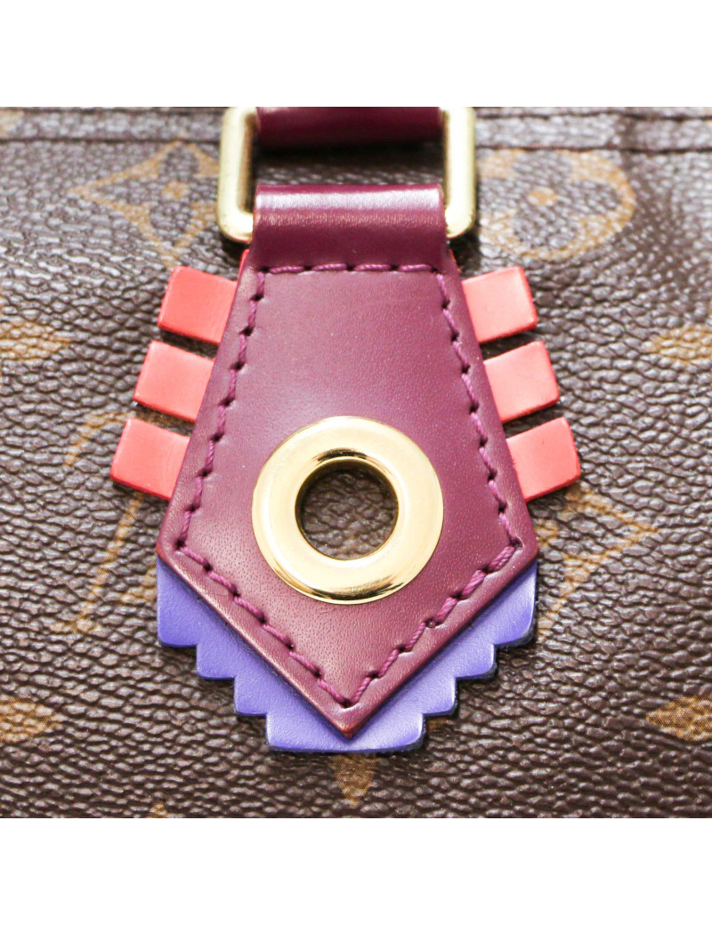 Speedy 30 LOUIS VUITTON Monogram Totem