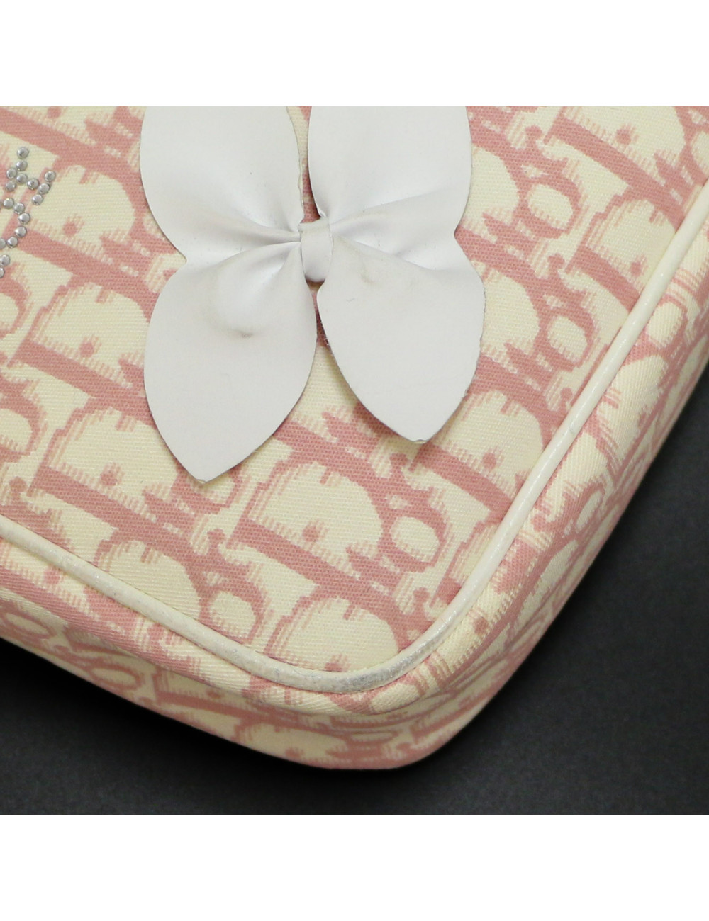 Sac DIOR oblique rose