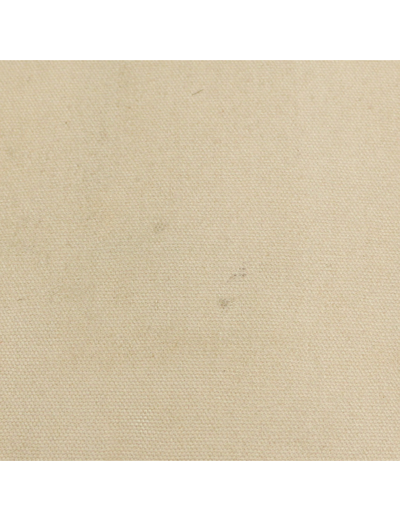 Sac cabas Alexander Mc Queen