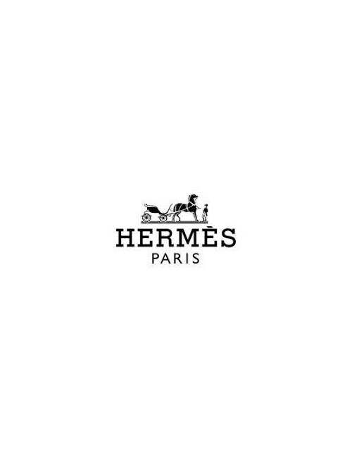 Carré HERMES Triomphe du Paladin