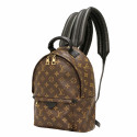 Backpack LOUIS VUITTON Palm Springs