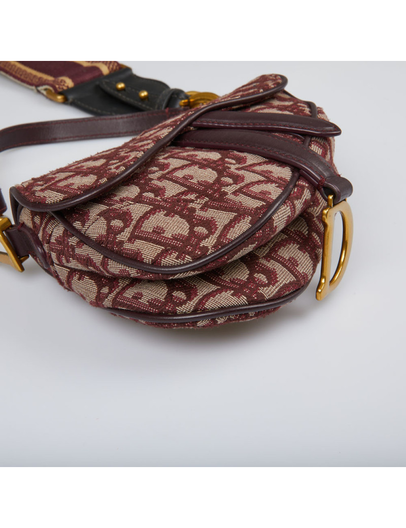 Mini Saddle Dior