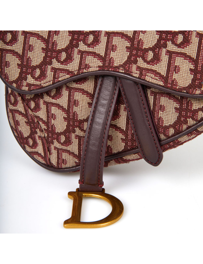 Mini Saddle Dior