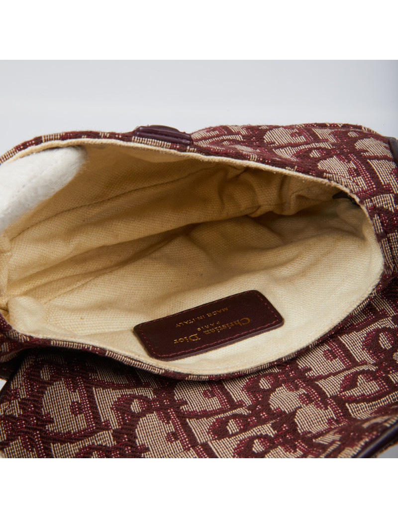 Mini Saddle Dior