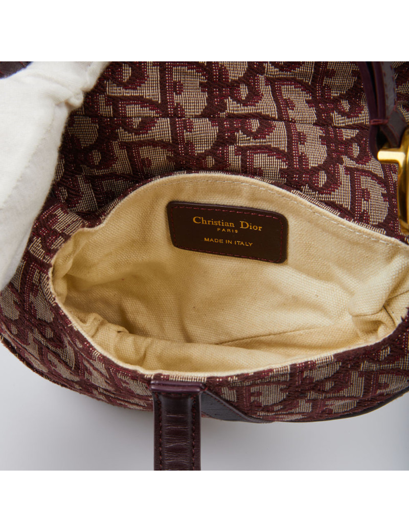 Mini Saddle Dior