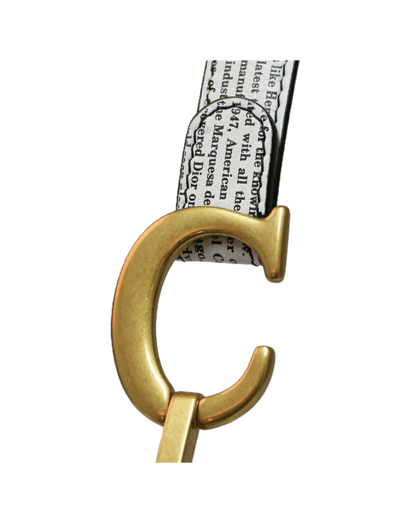 Saddle DIOR newspaper Galliano