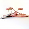 Sandals flat 'Rockstud' VALENTINO t 38 pink