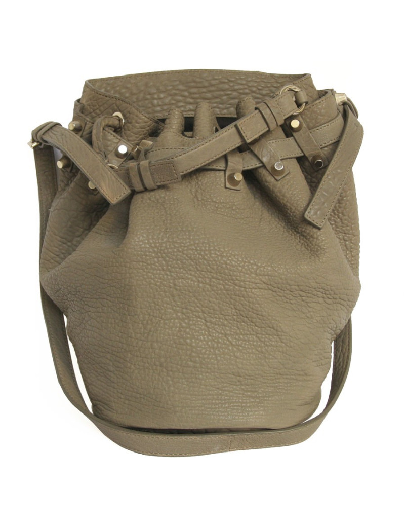Sac Diego ALEXANDER WANG en cuir de veau crest