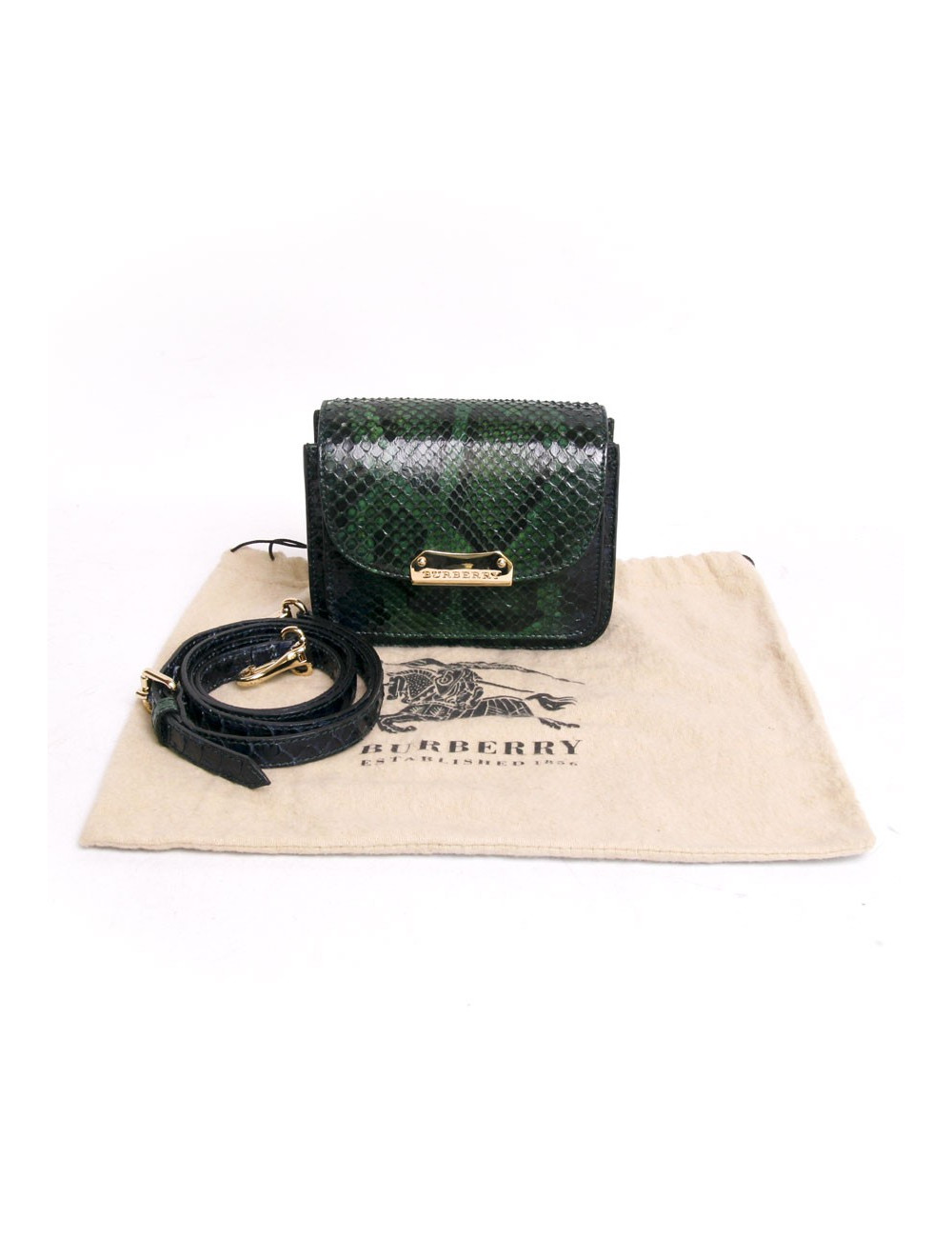 Sac BURBERRY en python dégradé de vert