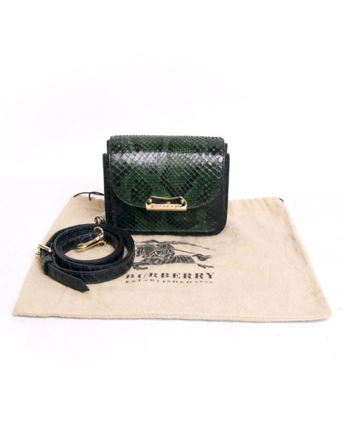 Sac BURBERRY en python dégradé de vert