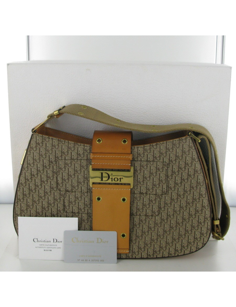 DIOR Monogram bag