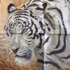 Carré "tigre du Bengale" HERMES 90 x 90