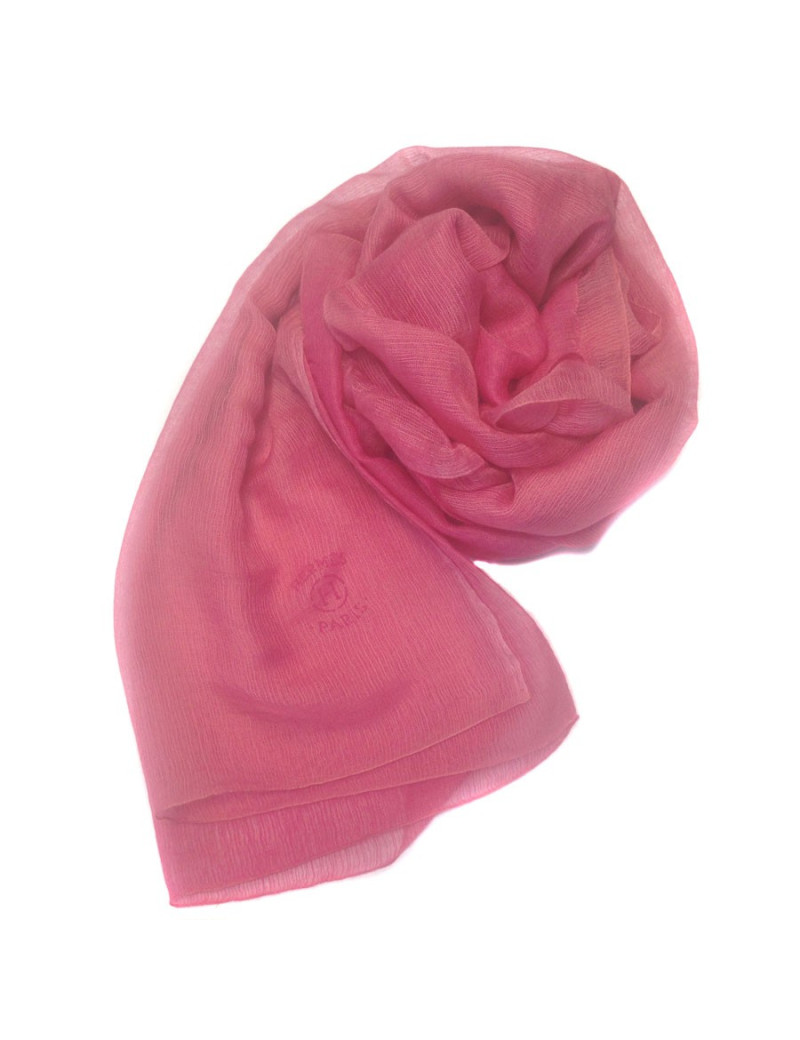 Etole HERMES Plume dans un dégradé de rose
