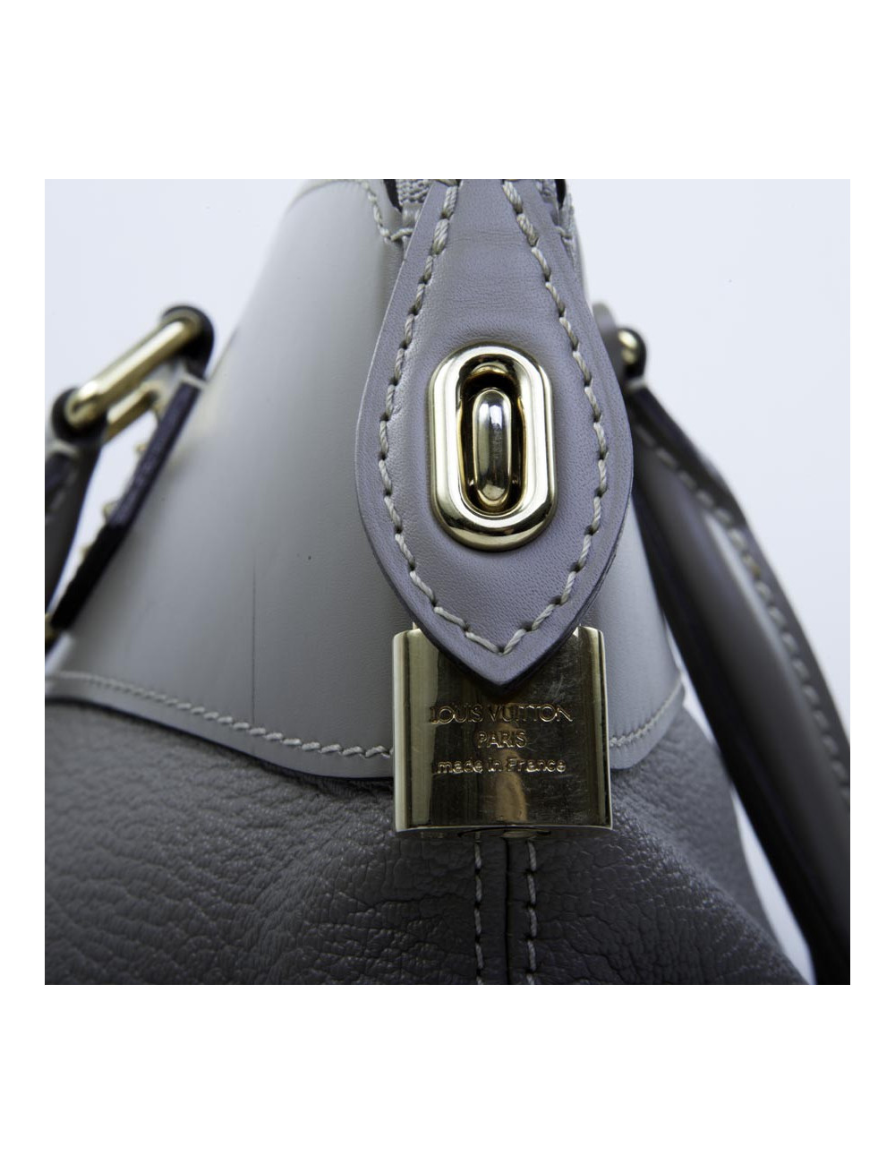 Sac LOUIS VUITTON cuir lisse et grainé 