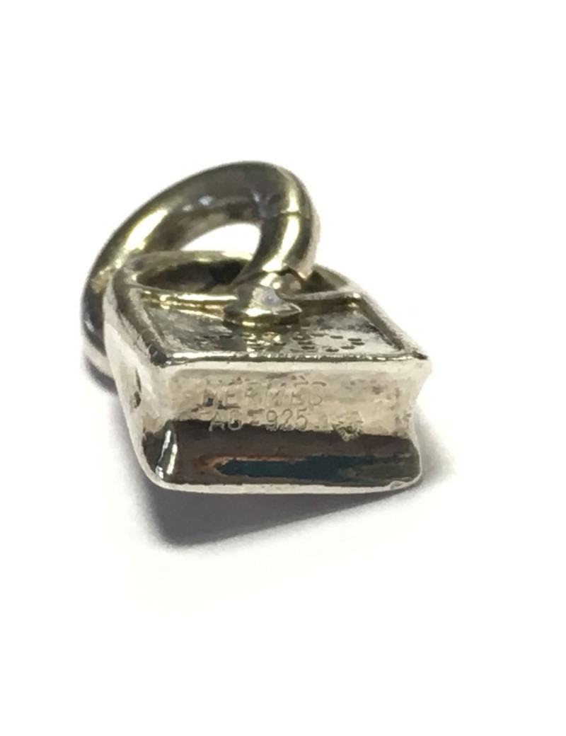 Charm HERMES "Evelyne bag" in money