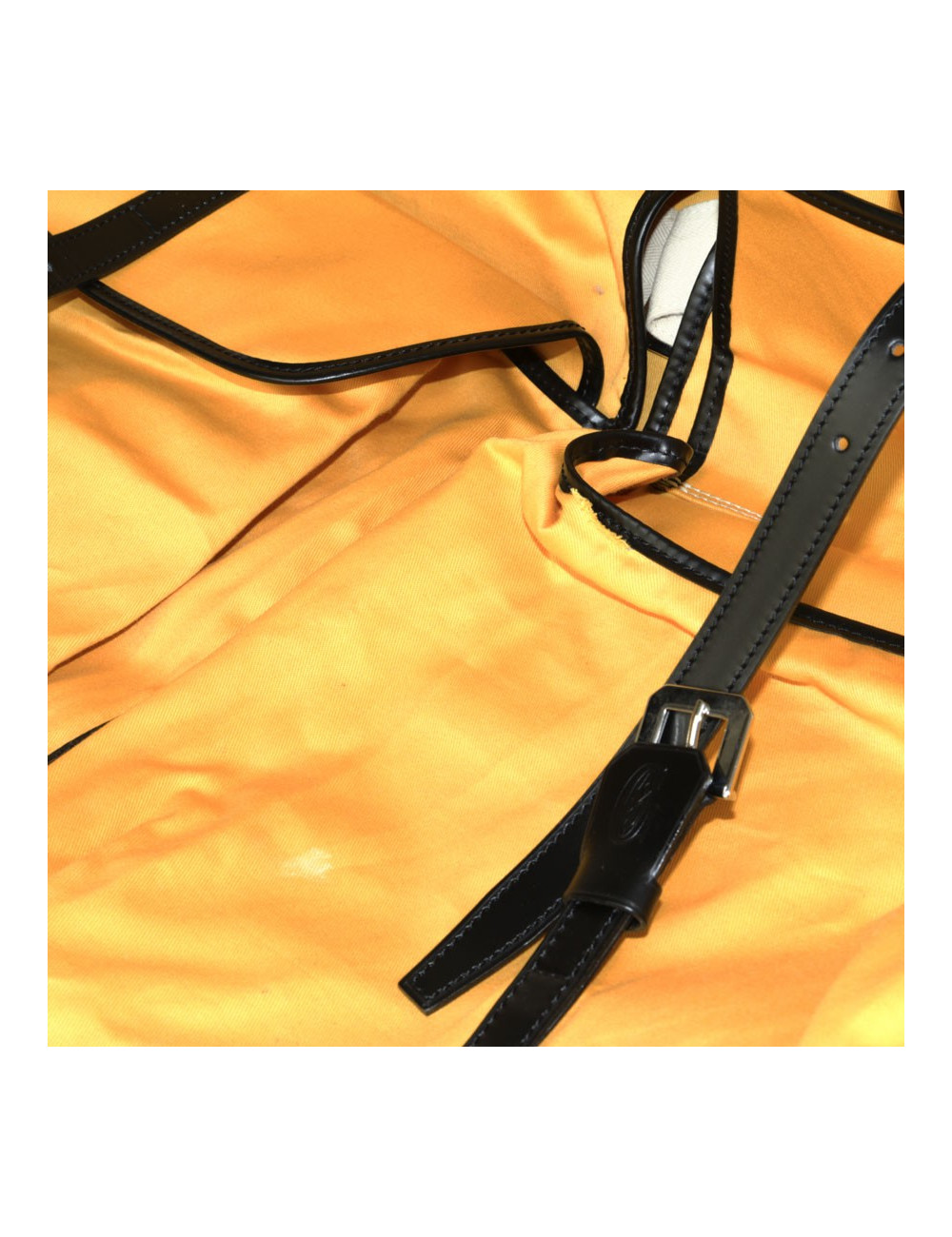 Porte habits GOYARD toile monogram noire