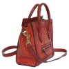 CELINE 'Nano' bag in red leather and python