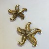 Clips YSL SAINT LAURENT Gold Star earrings