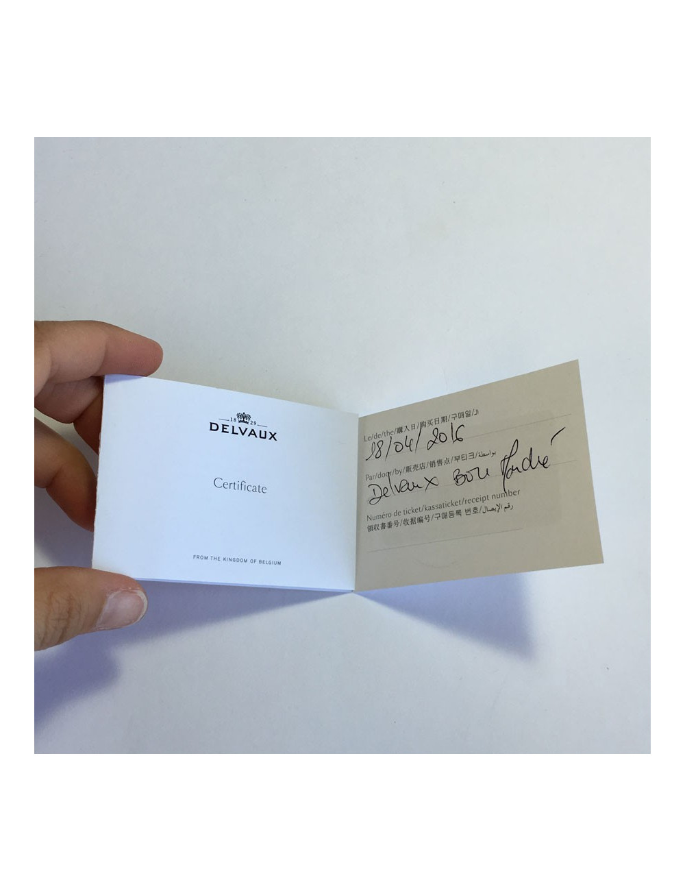 DELVAUX masked keyholder in green and pink leather