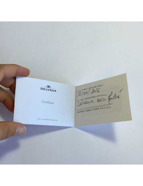 DELVAUX masked keyholder in green and pink leather