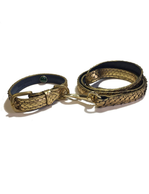 Collier et laisse de chien PETS & STONES en python laminé or et cuir bleu végétal