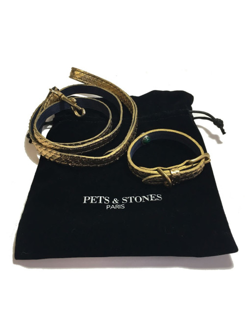 Collier et laisse de chien PETS & STONES en python laminé or et cuir bleu végétal