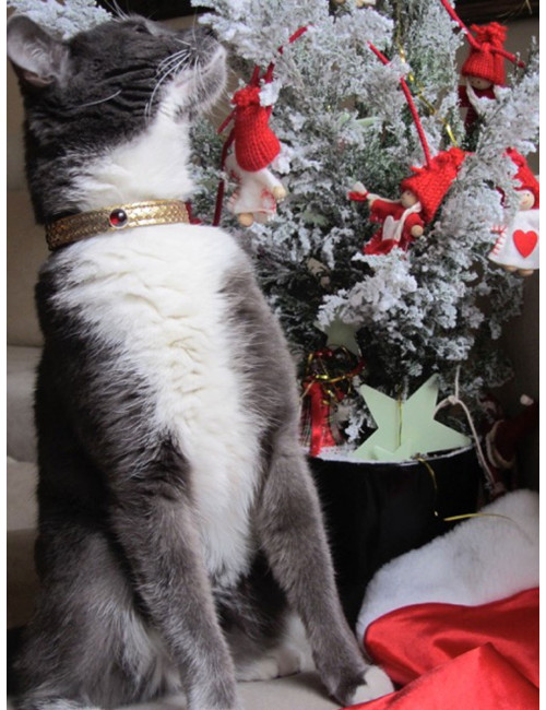 Collier et laisse de chien PETS & STONES en python laminé or et cuir bleu végétal