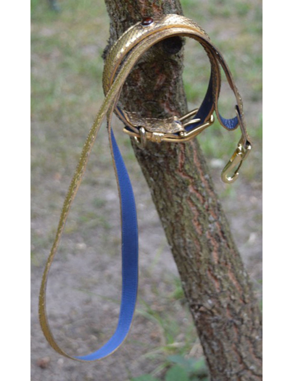 Collier et laisse de chien PETS & STONES en python laminé or et cuir bleu végétal