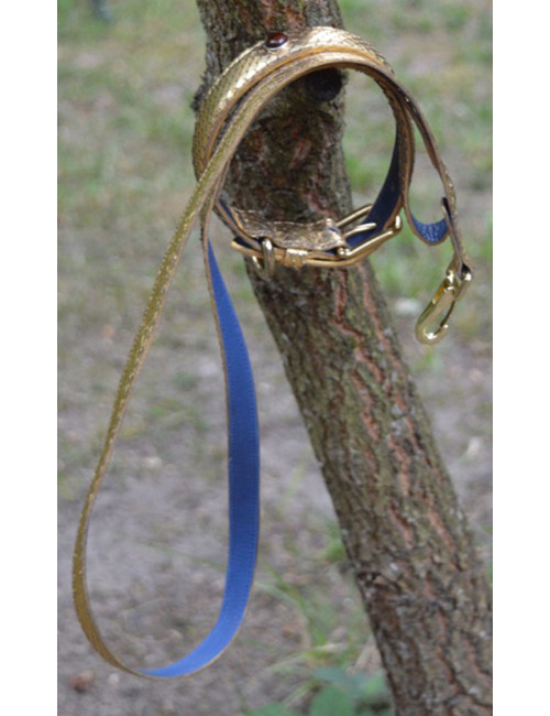 Collier et laisse de chien PETS & STONES en python laminé or et cuir bleu végétal