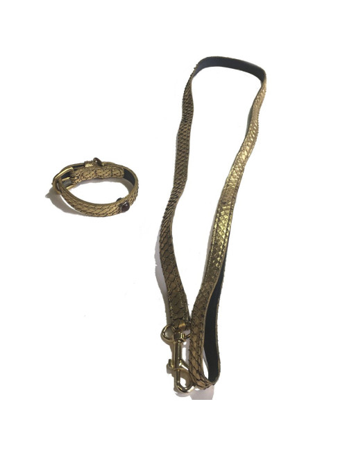 Collier et laisse de chien PETS & STONES en python laminé or et cuir bleu végétal