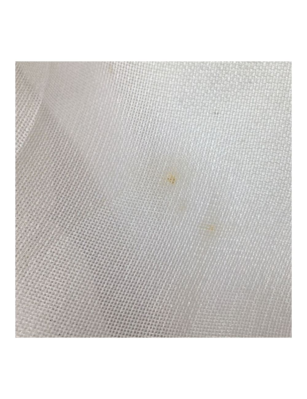 Étole Alexander McQueen en soie ivoire