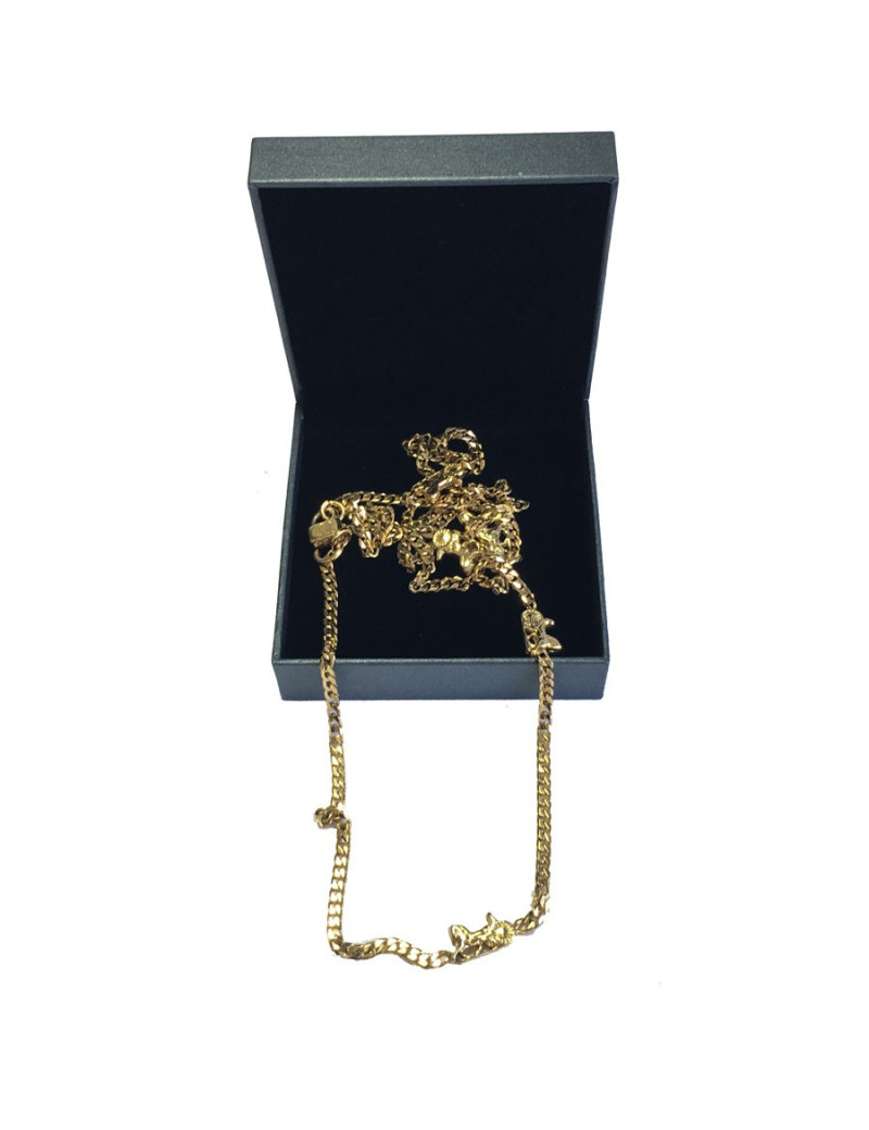 CELINE Long necklace wirth carriage charms in gilded metal