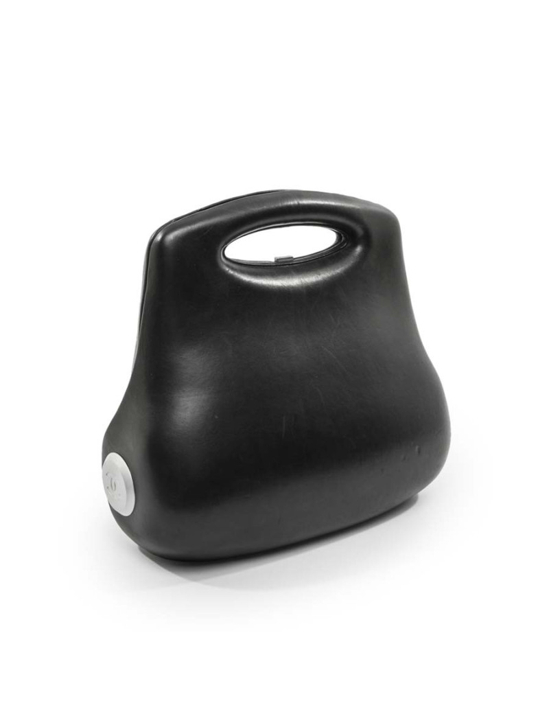 Sac CHANEL Collector cuir noir