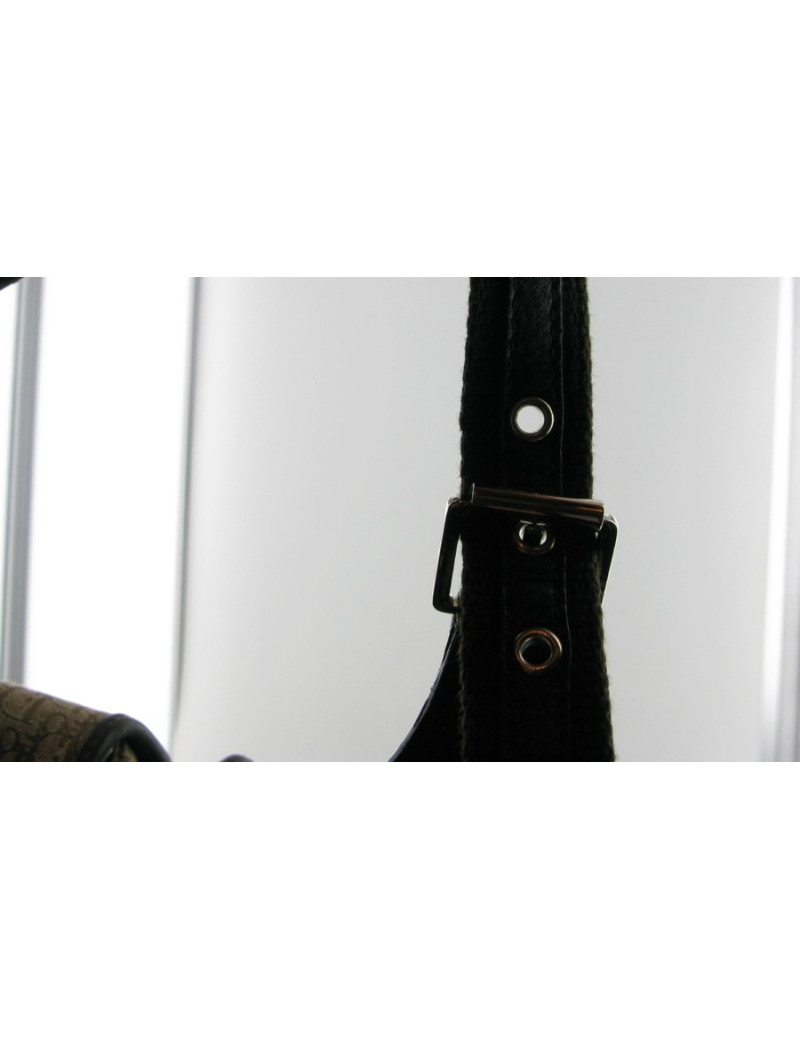 Sac DIOR en toile monogrammée