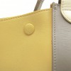 CELINE 'trapèze' bag in tricolor leather