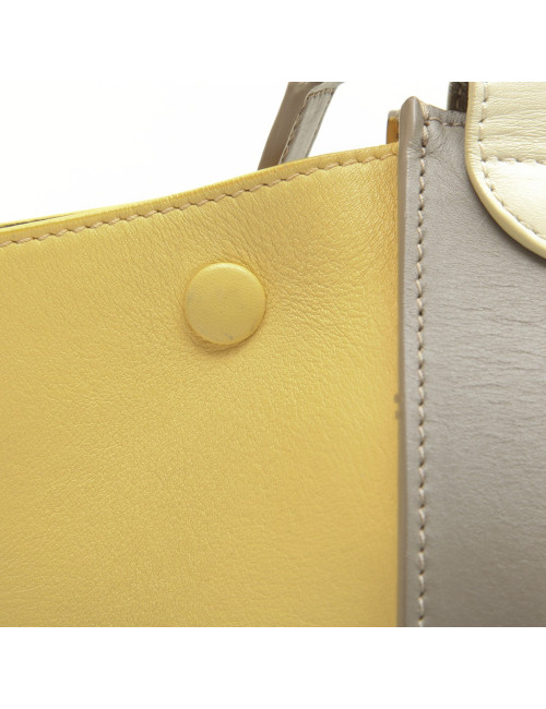 CELINE 'trapèze' bag in tricolor leather